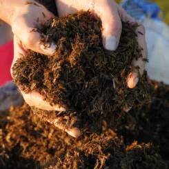 Mulch your garden to suppress weeds Mulch your garden to suppress weeds