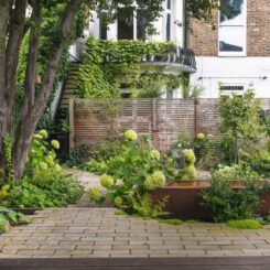 Paved garden Paved garden - ditch the grass