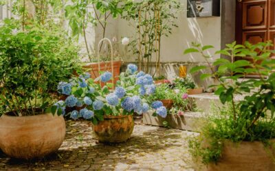 How does your garden glow?