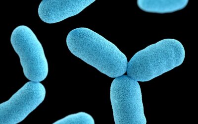 Why Legionella risk assessments Matter for landlords