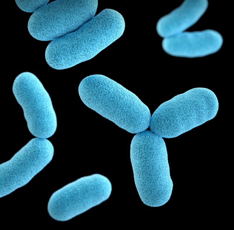 Legionella testing rental property