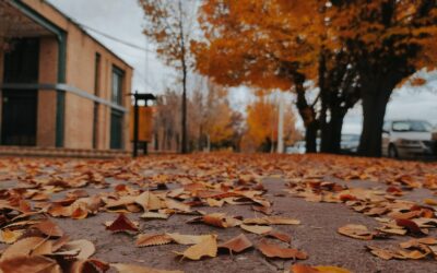 Why now is the right time to review landlord compliance