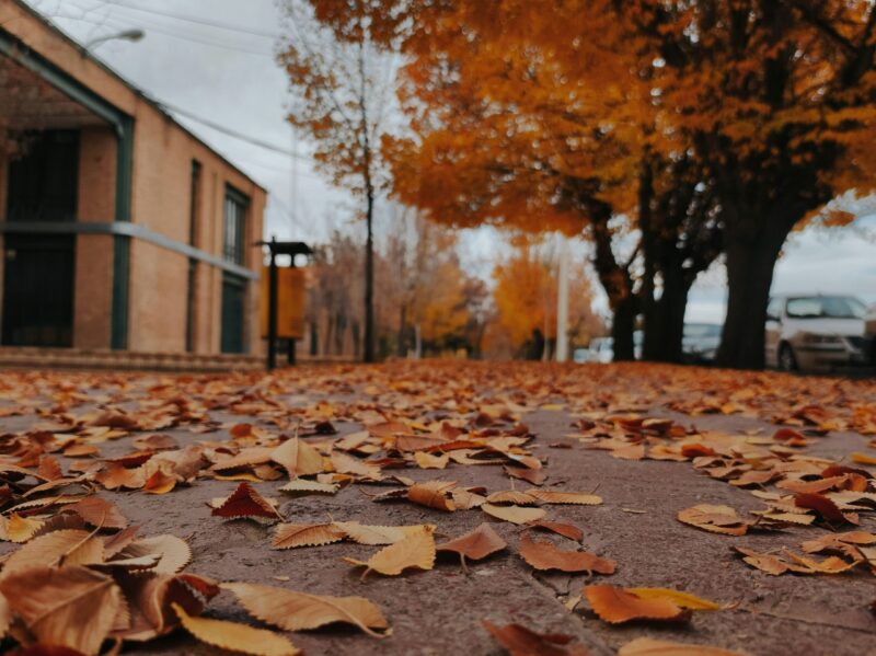 autumn property checks